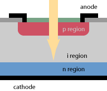 The PIN-type photodiode is a photodiode in which an intrinsic layer exists between n-type doping and p-type doping
