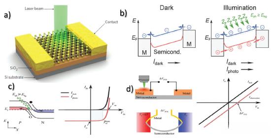 What Are the Mechanisms of Photodetectors?