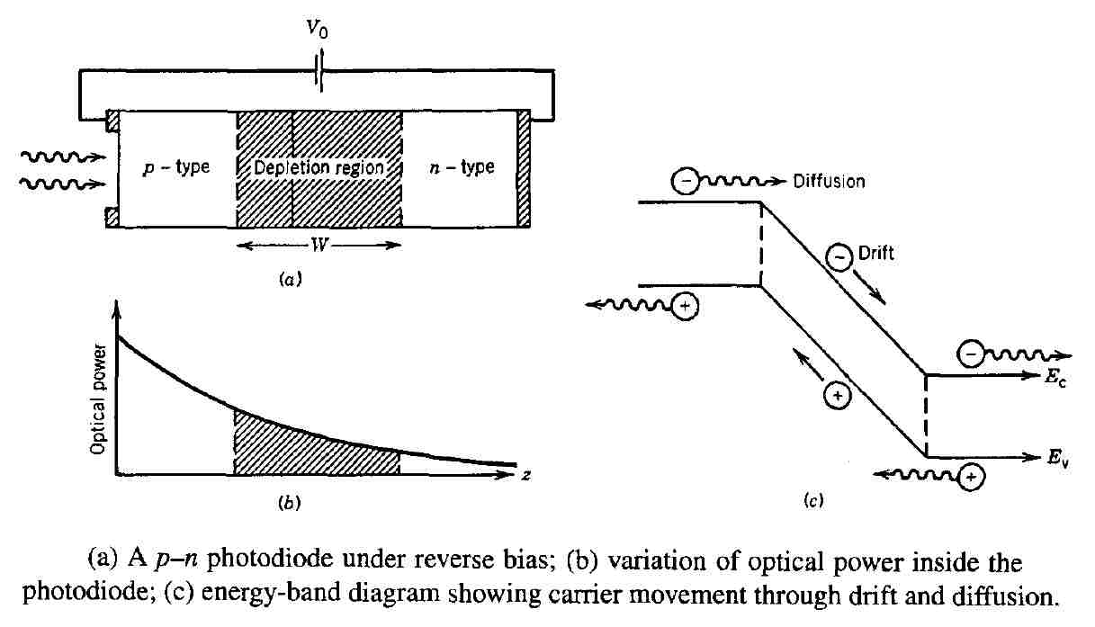 The difference between different types of photodetectors丨NEON