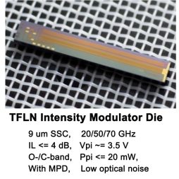 TFLN Intensity Modulator Die