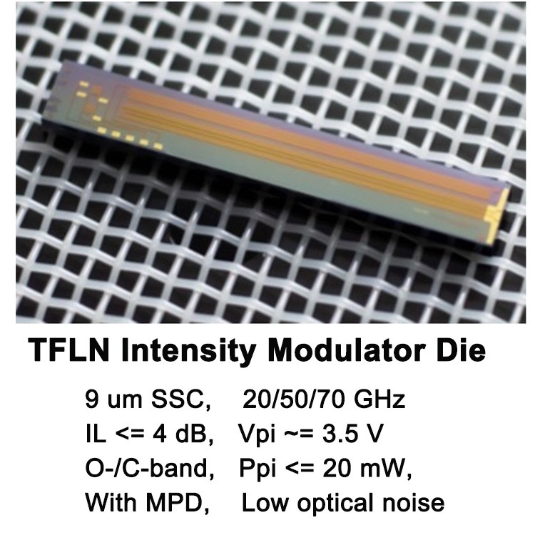 TFLN Intensity Modulator die