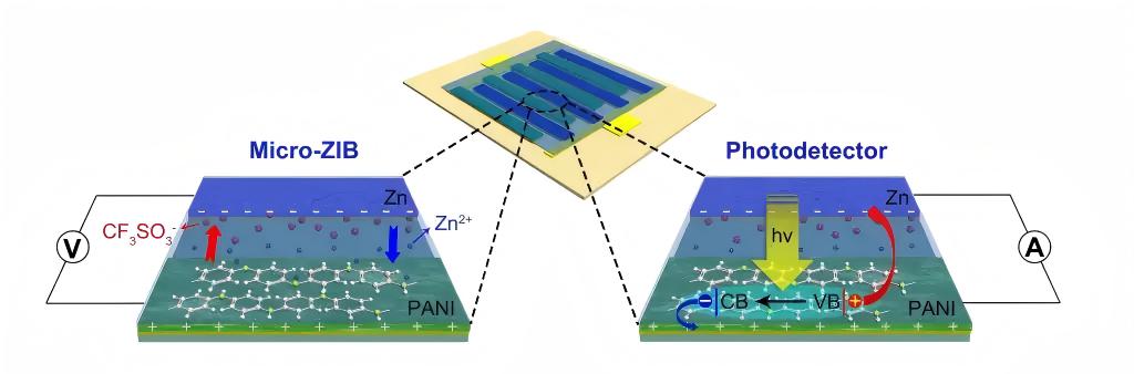 How to Optimize High-Speed Photodetector Performance via Impedance Matching 7 high speed photodetector principle